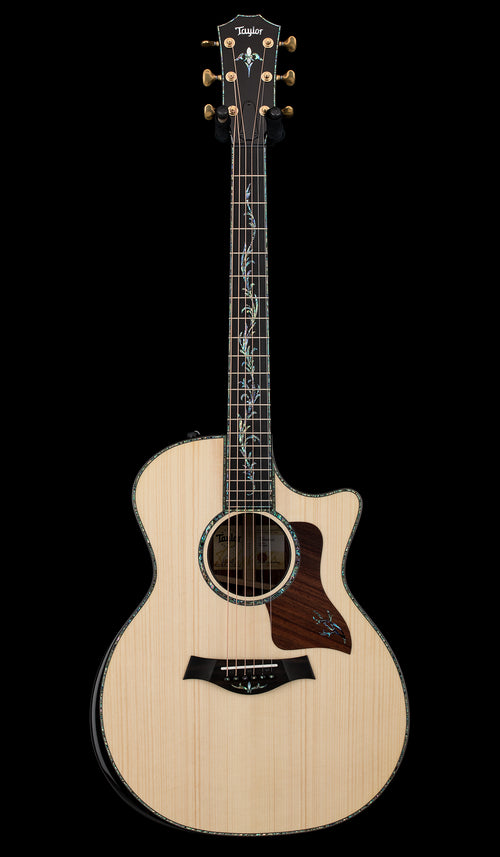 Taylor PS14ce Honduran Rosewood/Adirondack Spruce #85100